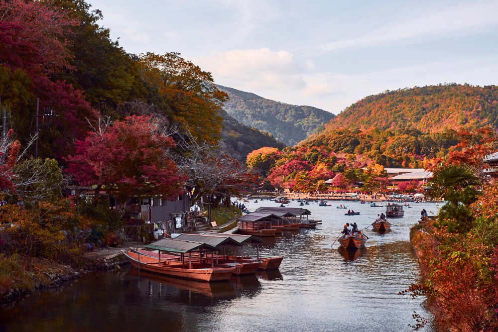 חבילת FLEX golden route מבית יפן טורי